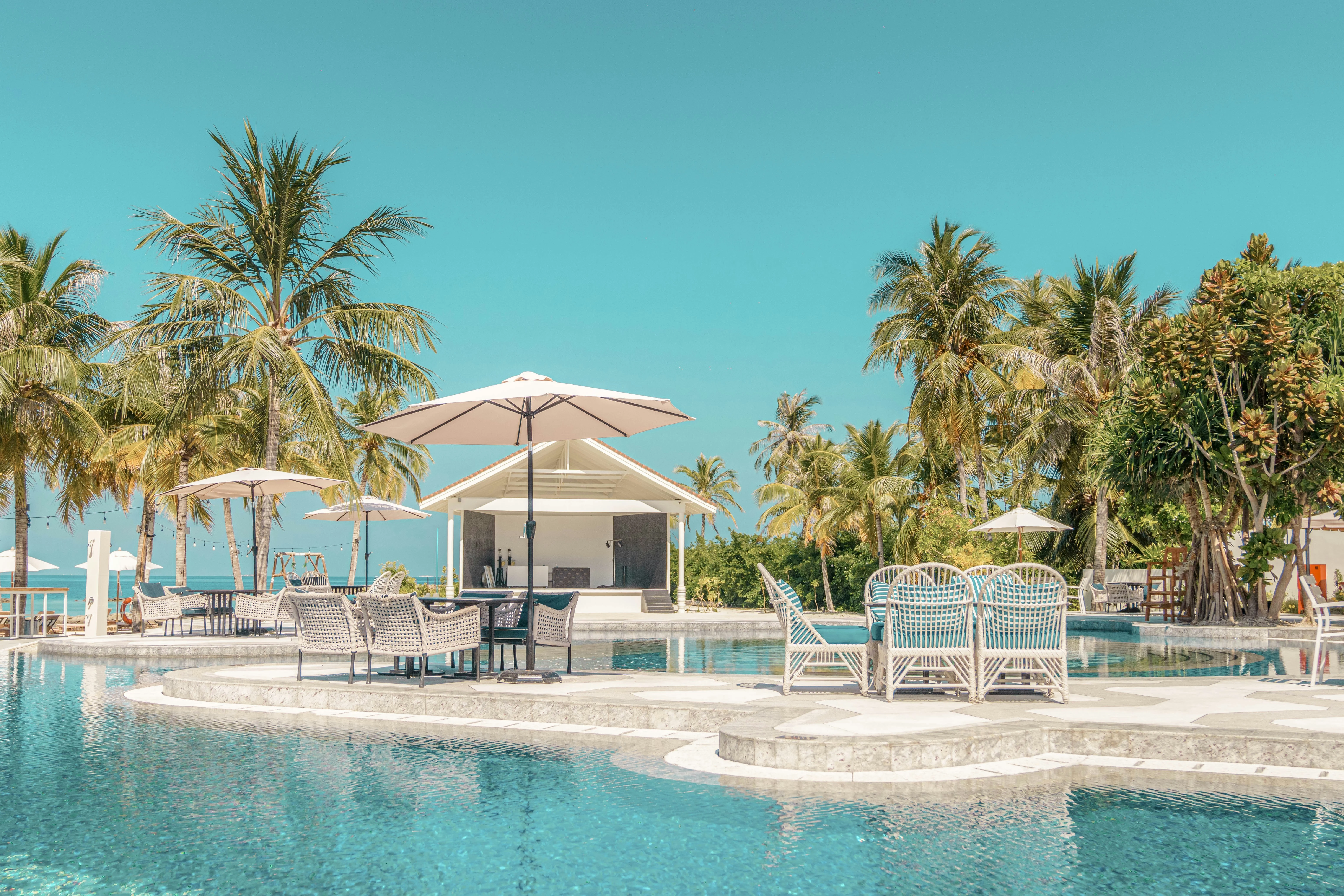 Tropical resort pool surrounded by palm trees