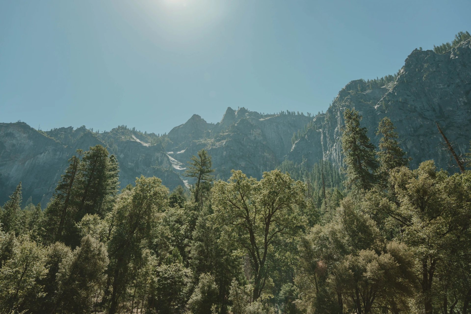 Mountain forest landscape with pine trees and rocky peaks